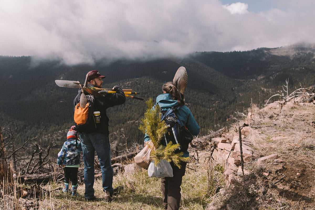 OUR CAMPERS ARE REPLANTING COLORADO ‘ONE TREE’ AT A TIME — HERE’S HOW - Spirit of 1876
