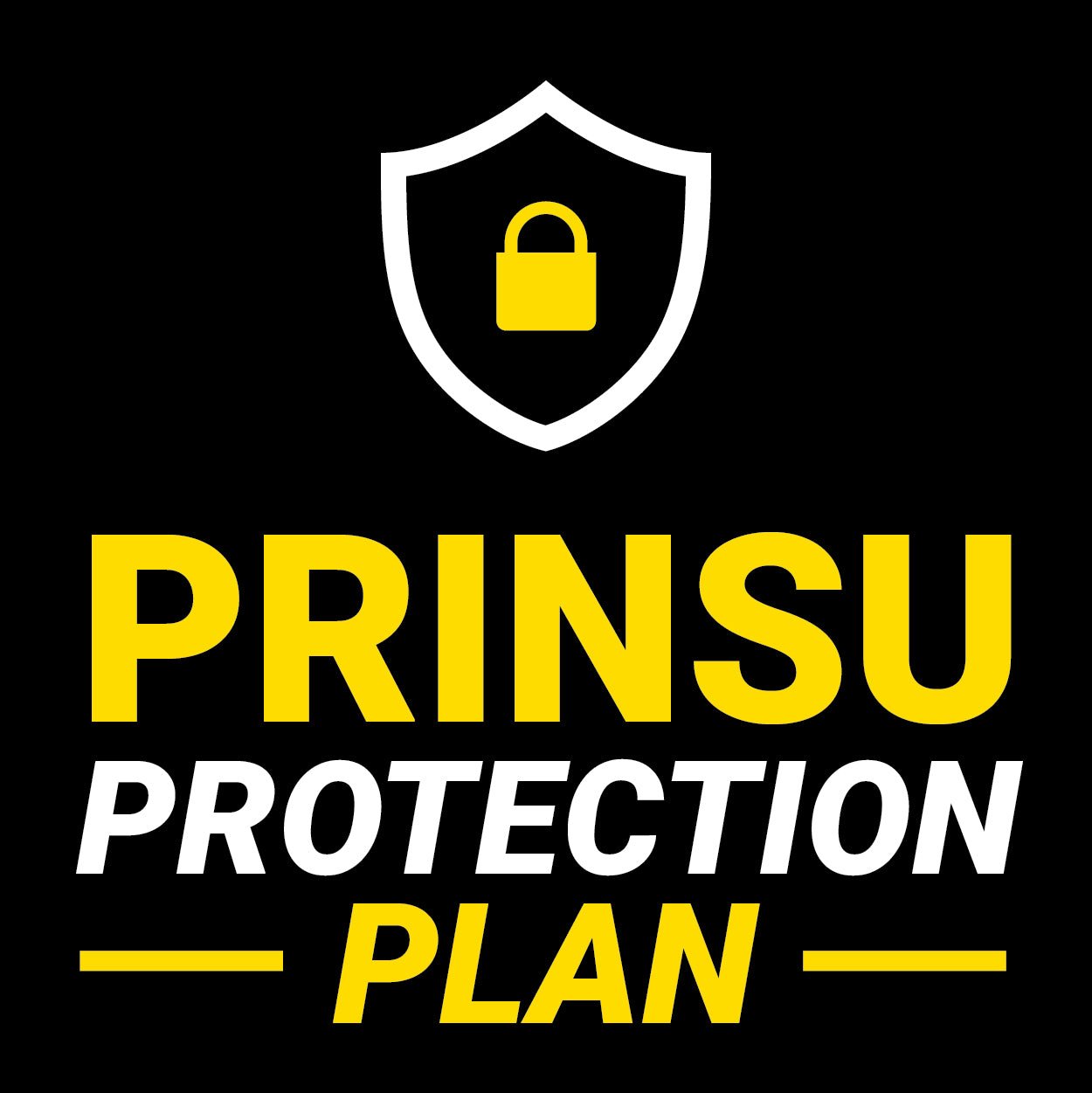 Prinsu Accessory Protection Plan - $101-200 - Spirit of 1876