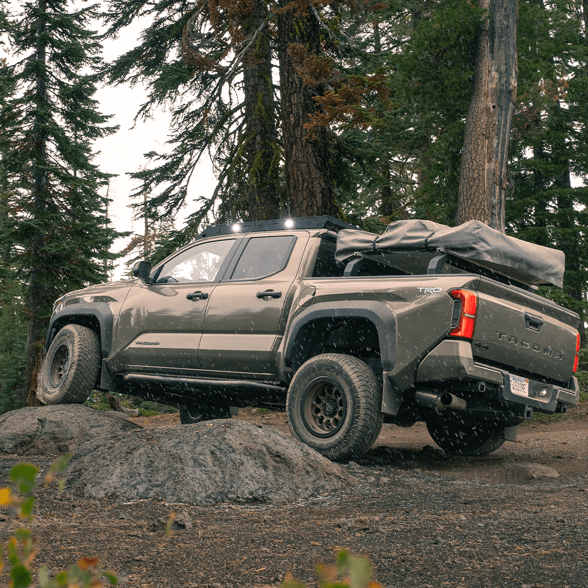 Step Edition Rock Sliders For 2024+ Toyota Tacoma - Spirit of 1876Dealers of Cali Raised LED