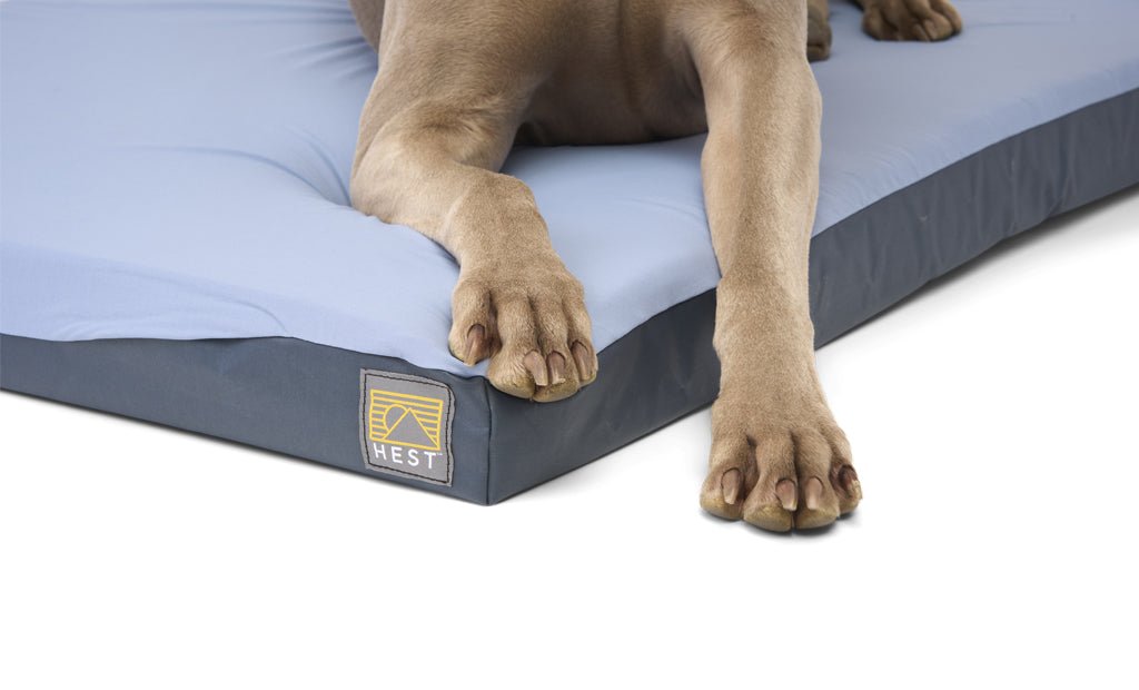 HEST Dog Bed - Spirit of 1876HEST