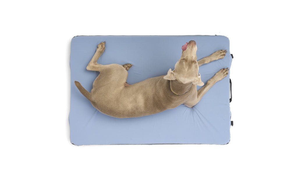 HEST Dog Bed - Spirit of 1876HEST