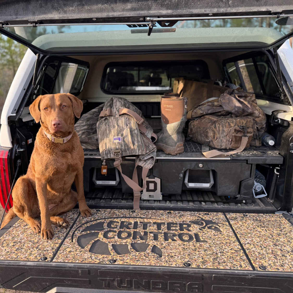 Custom Tailgate