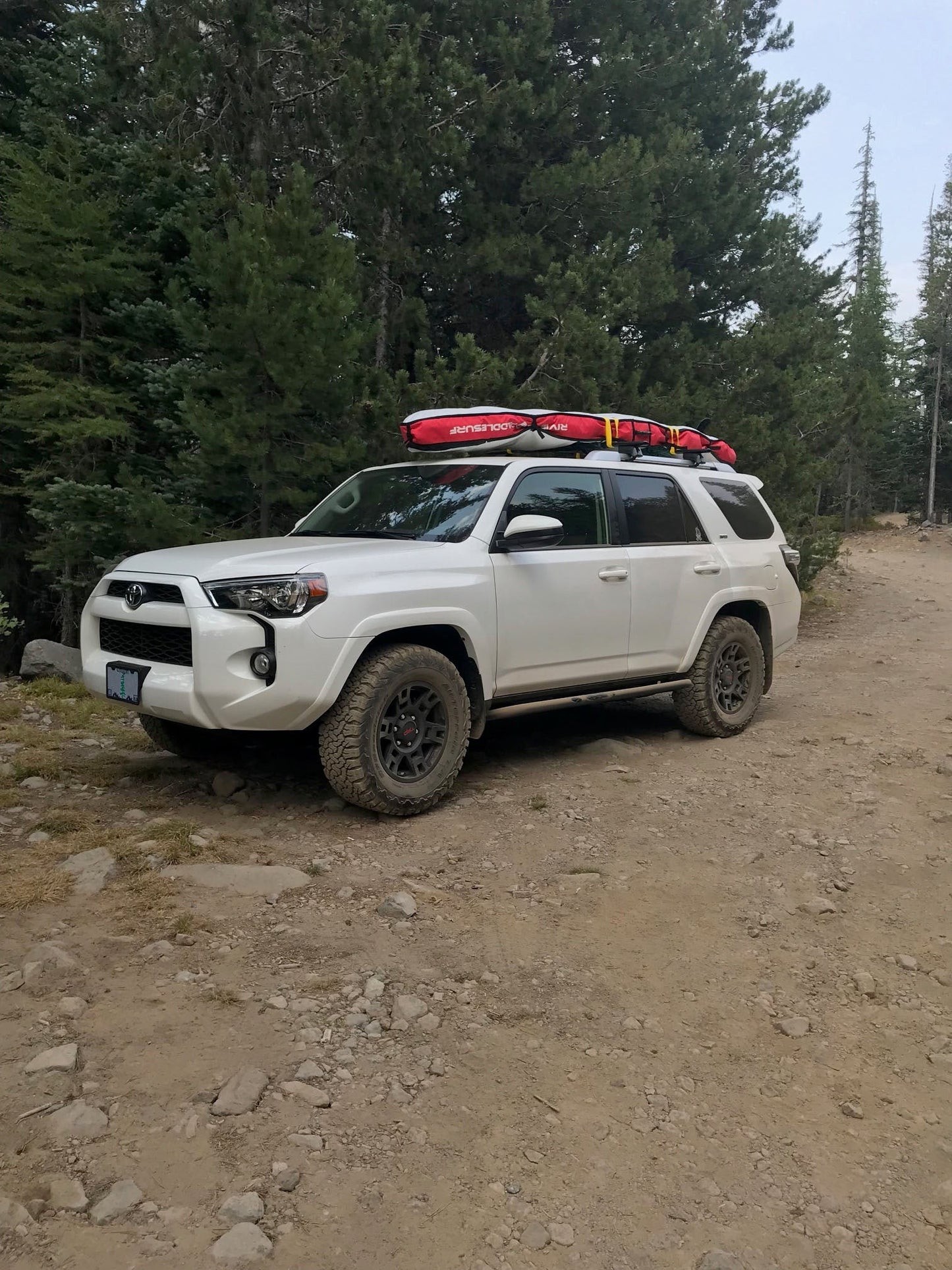 2010+ Toyota 4Runner Angled Sliders