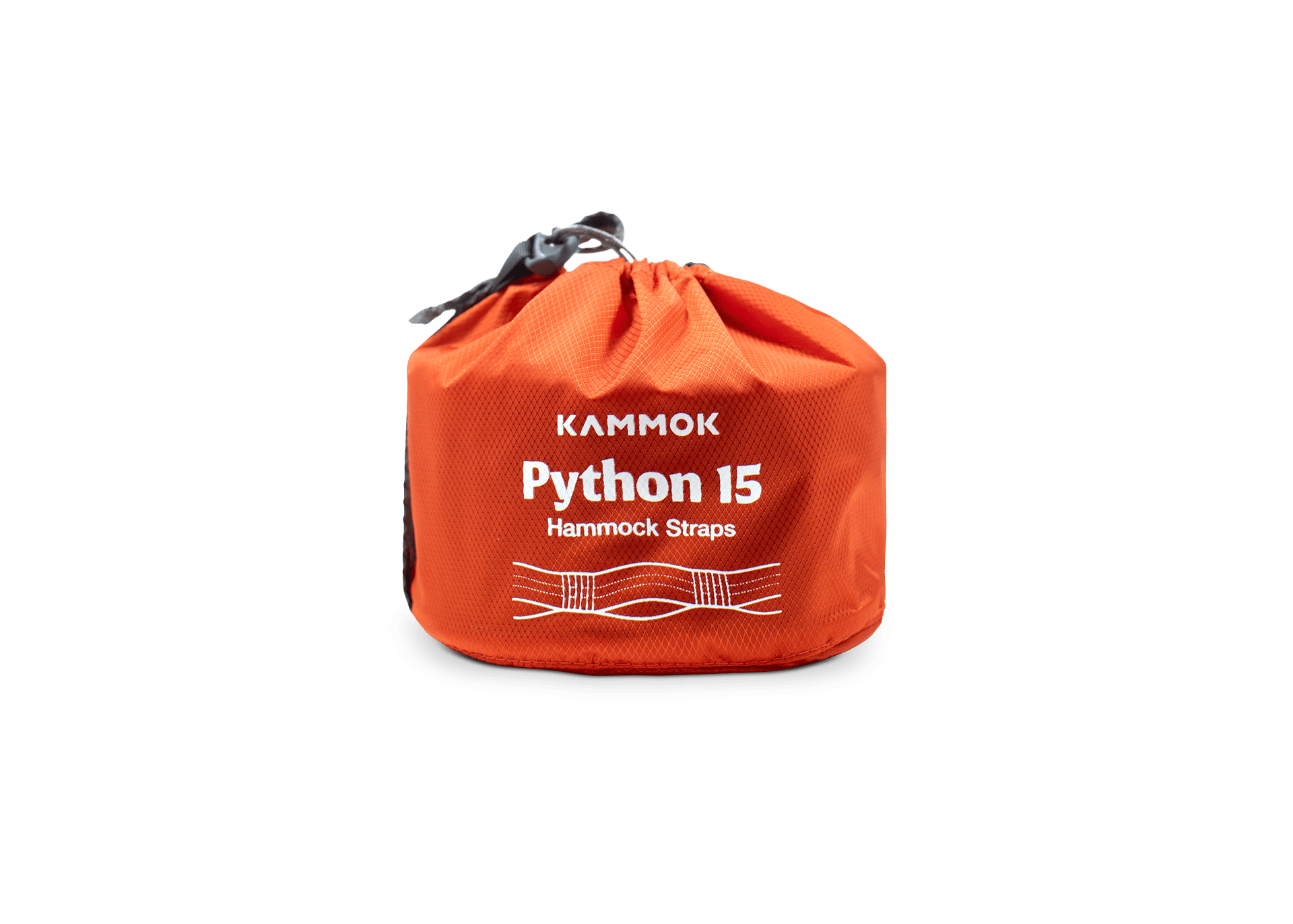 Python 15 - Spirit of 1876