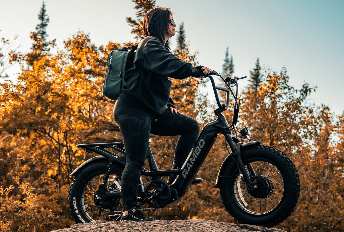 Revolt AWD Step Thru Bike - Spirit of 1876 - Rambo Bikes