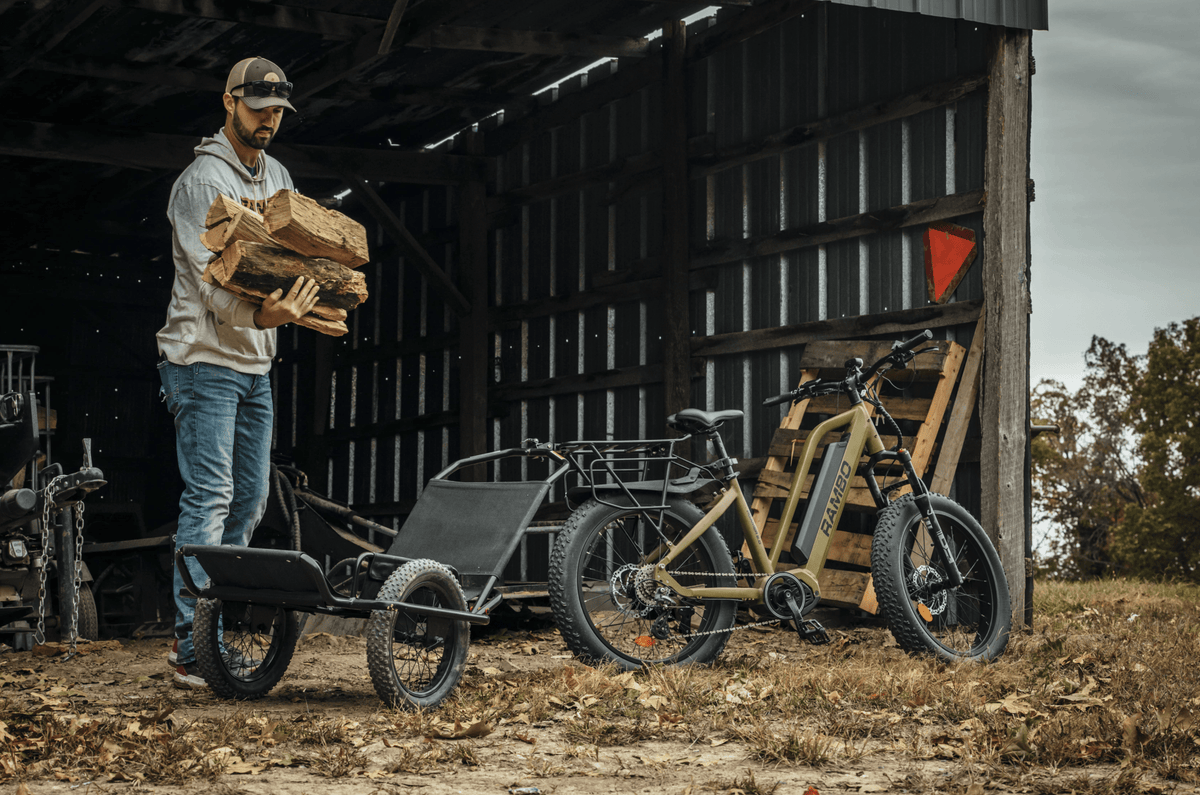 Roamer 2.0 - Spirit of 1876 - Rambo Bikes