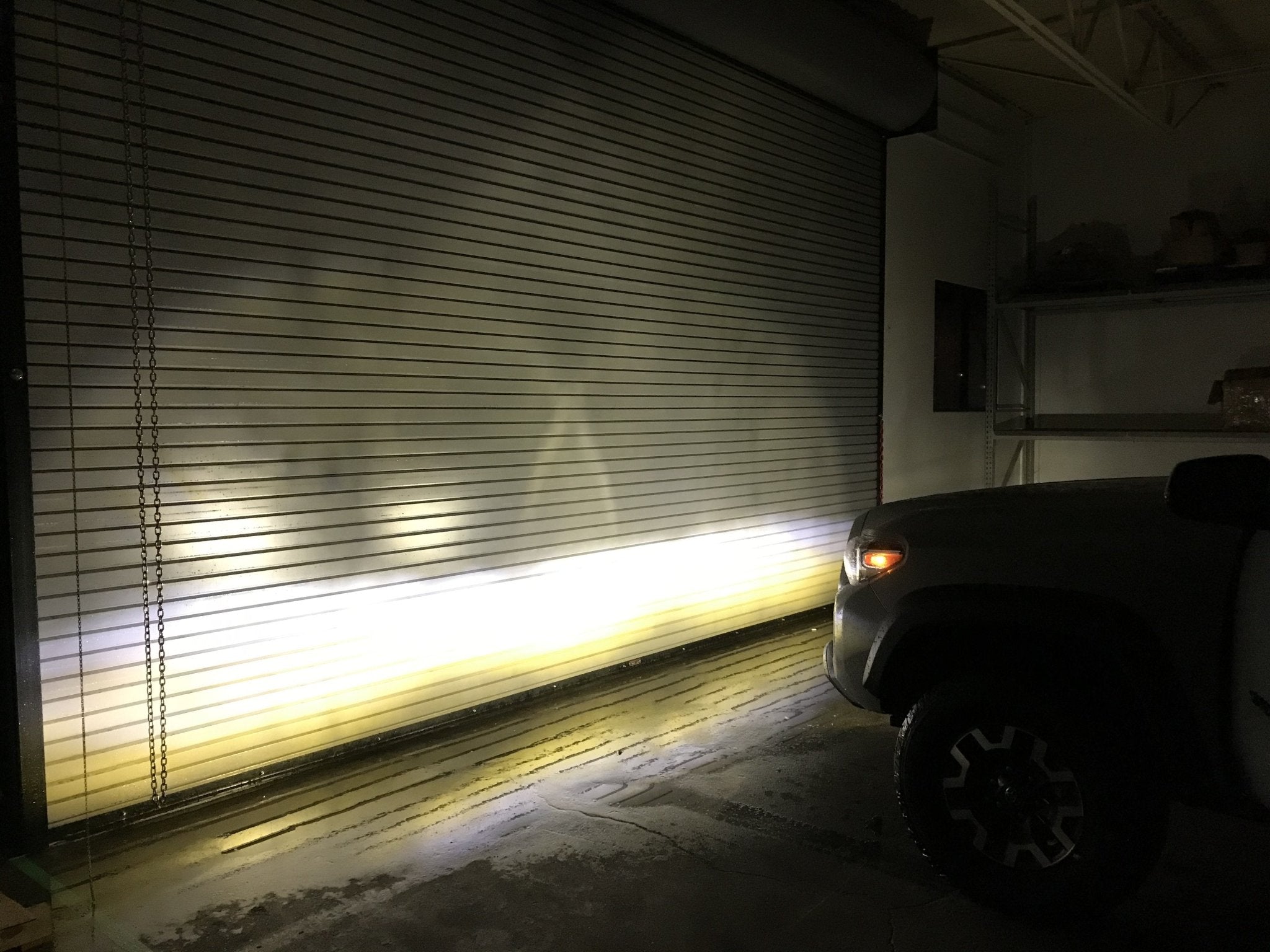 Tri - Color Fog Light Replacement Bulbs - Spirit of 1876Dealers of Cali Raised LED