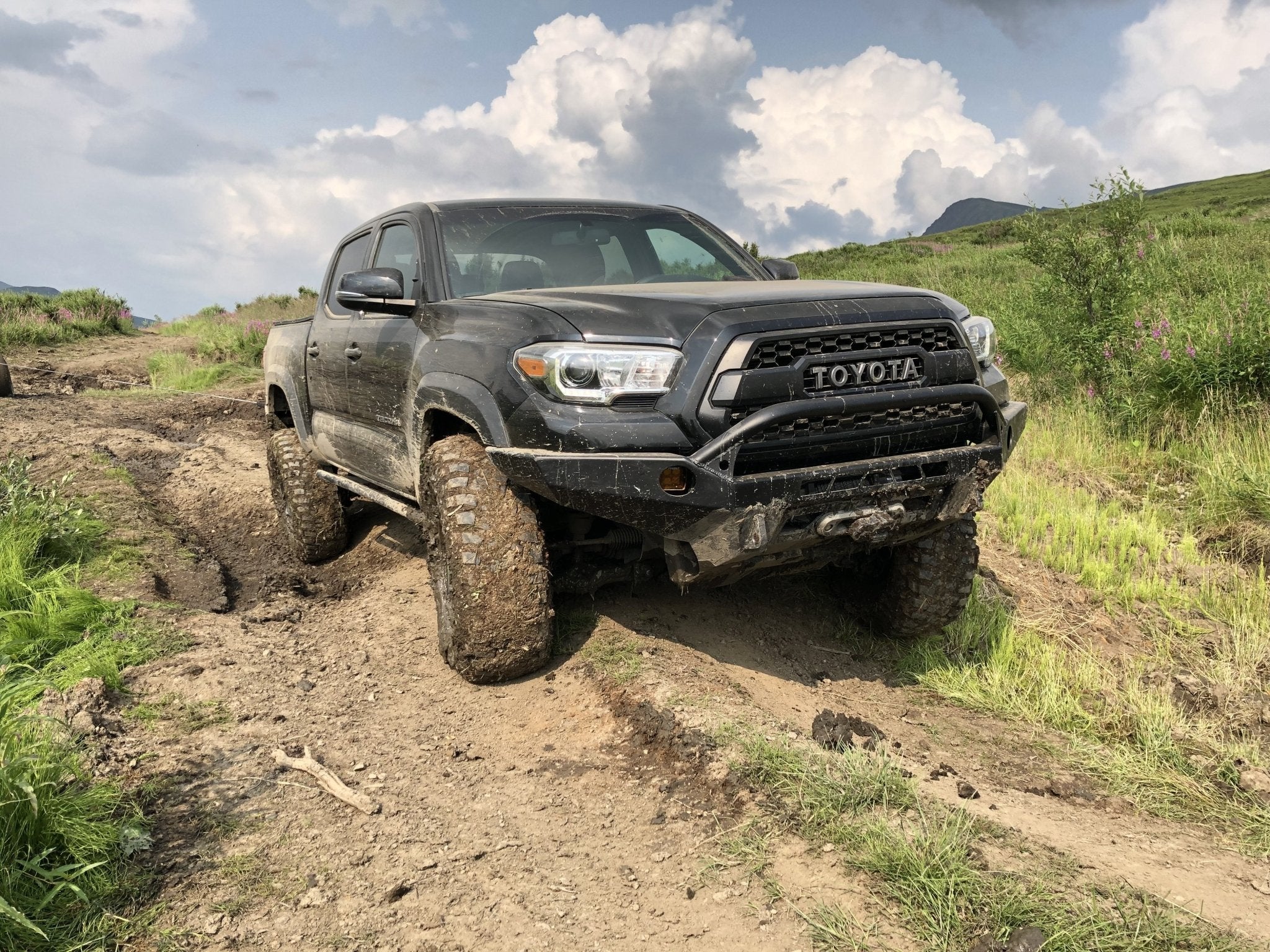 Trail Edition Rock Sliders For 2005 - 2023 Toyota Tacoma - Spirit of 1876Dealers of Cali Raised LED