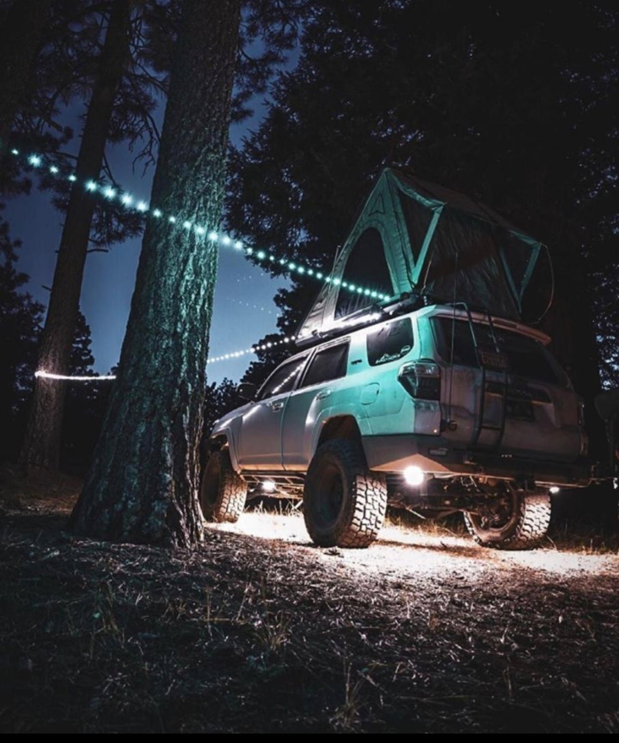 REVEL GEAR Trail Hound 30 ft. Camping Light - Spirit of 1876