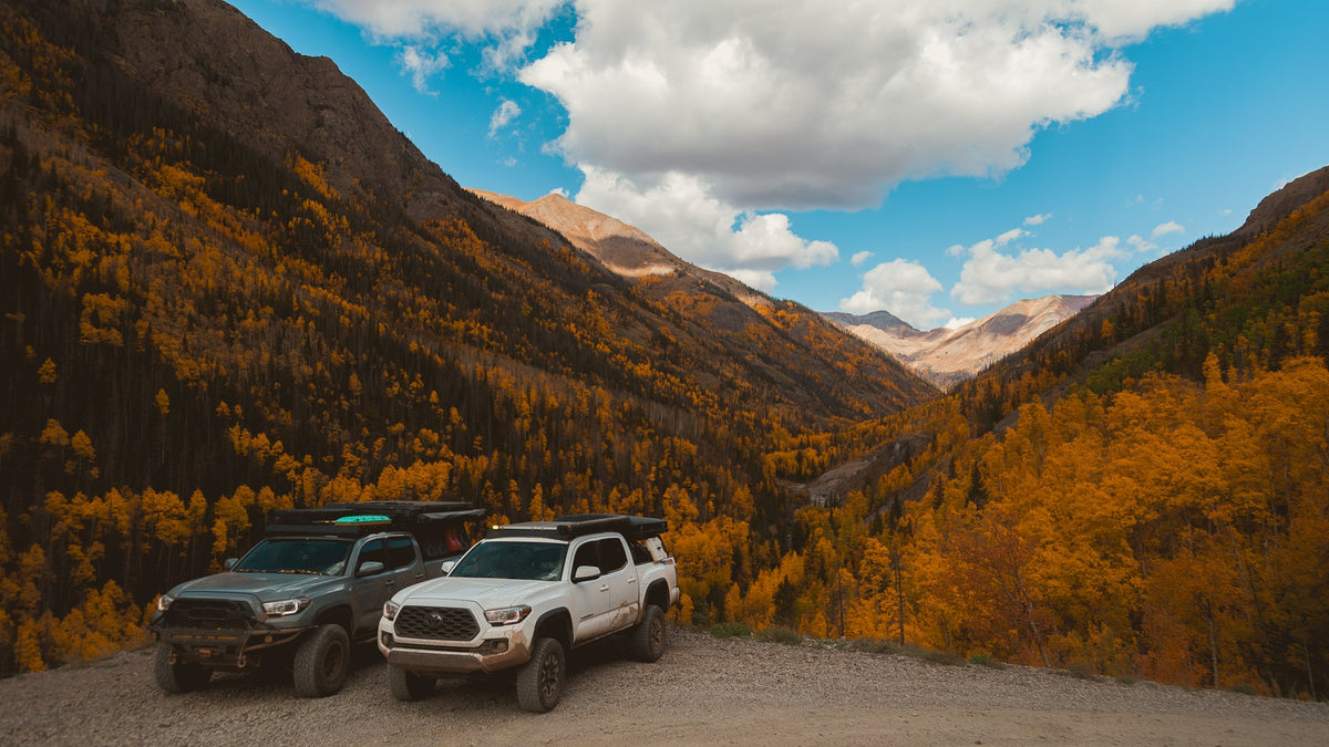Colorado fall foliage with two overlanding trucks surrounded by golden aspens in the mountains