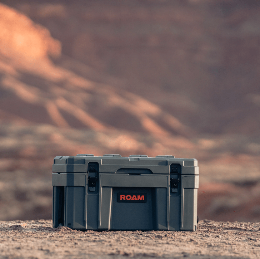 Cases - Spirit of 1876