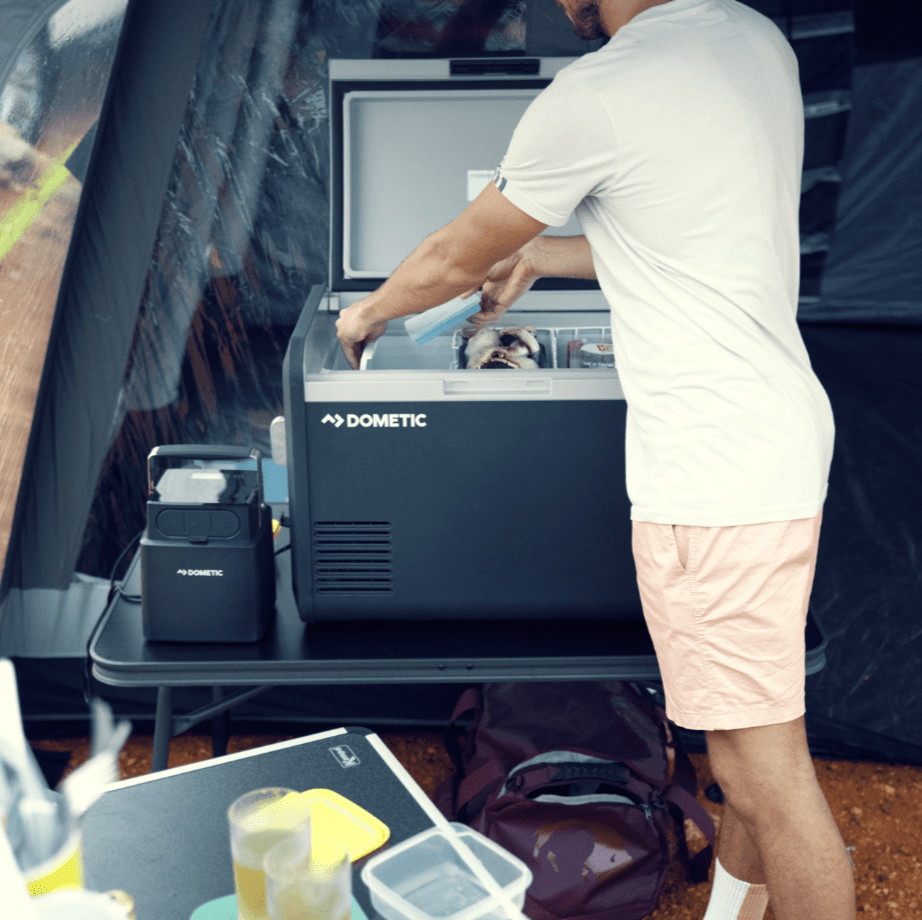 Fridges - Spirit of 1876