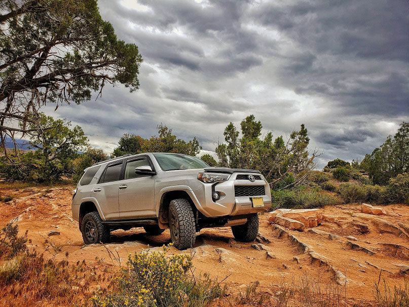 2010+ Toyota 4Runner Angled Sliders