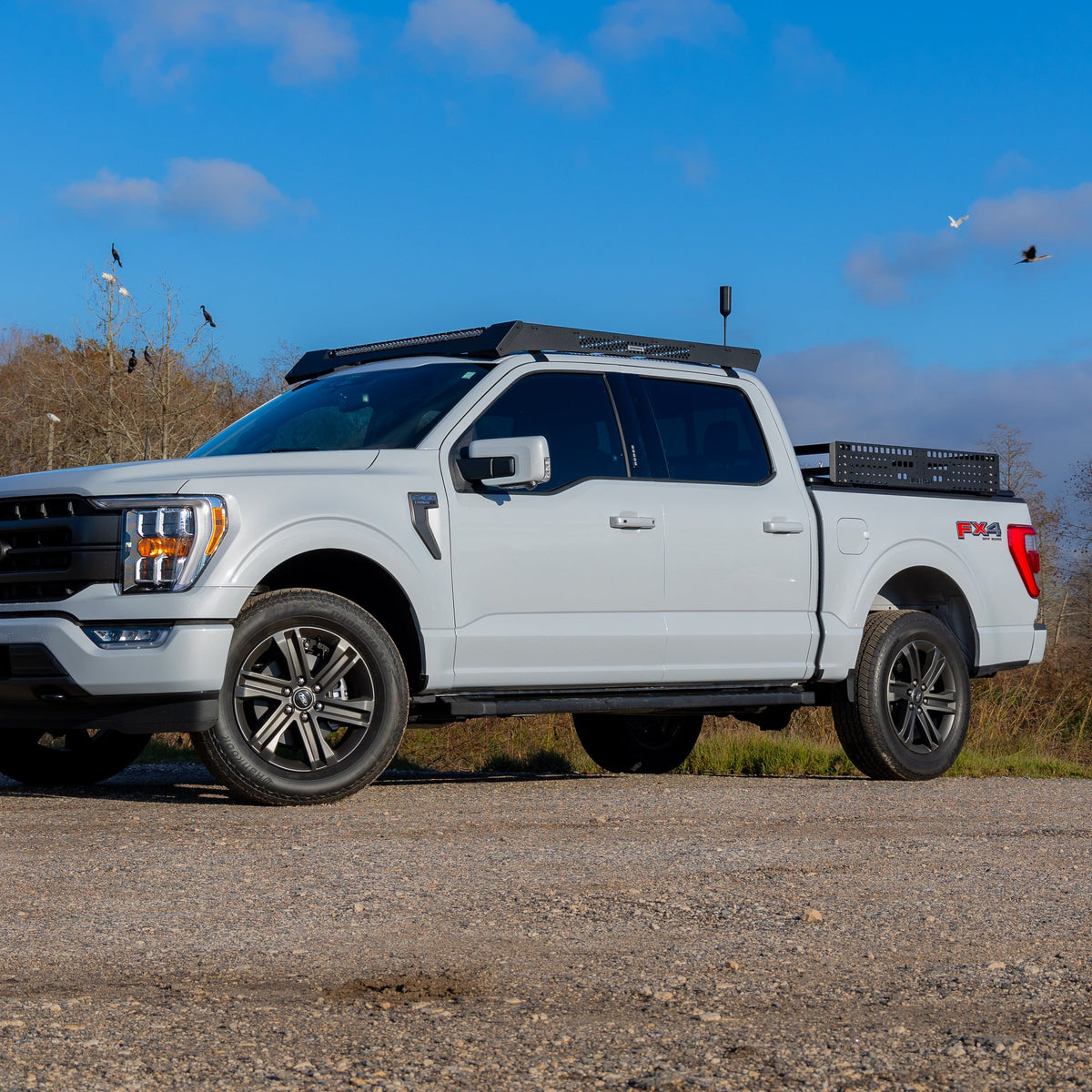 Ford F-150 (2015-Present), Low Profile Bed Rack