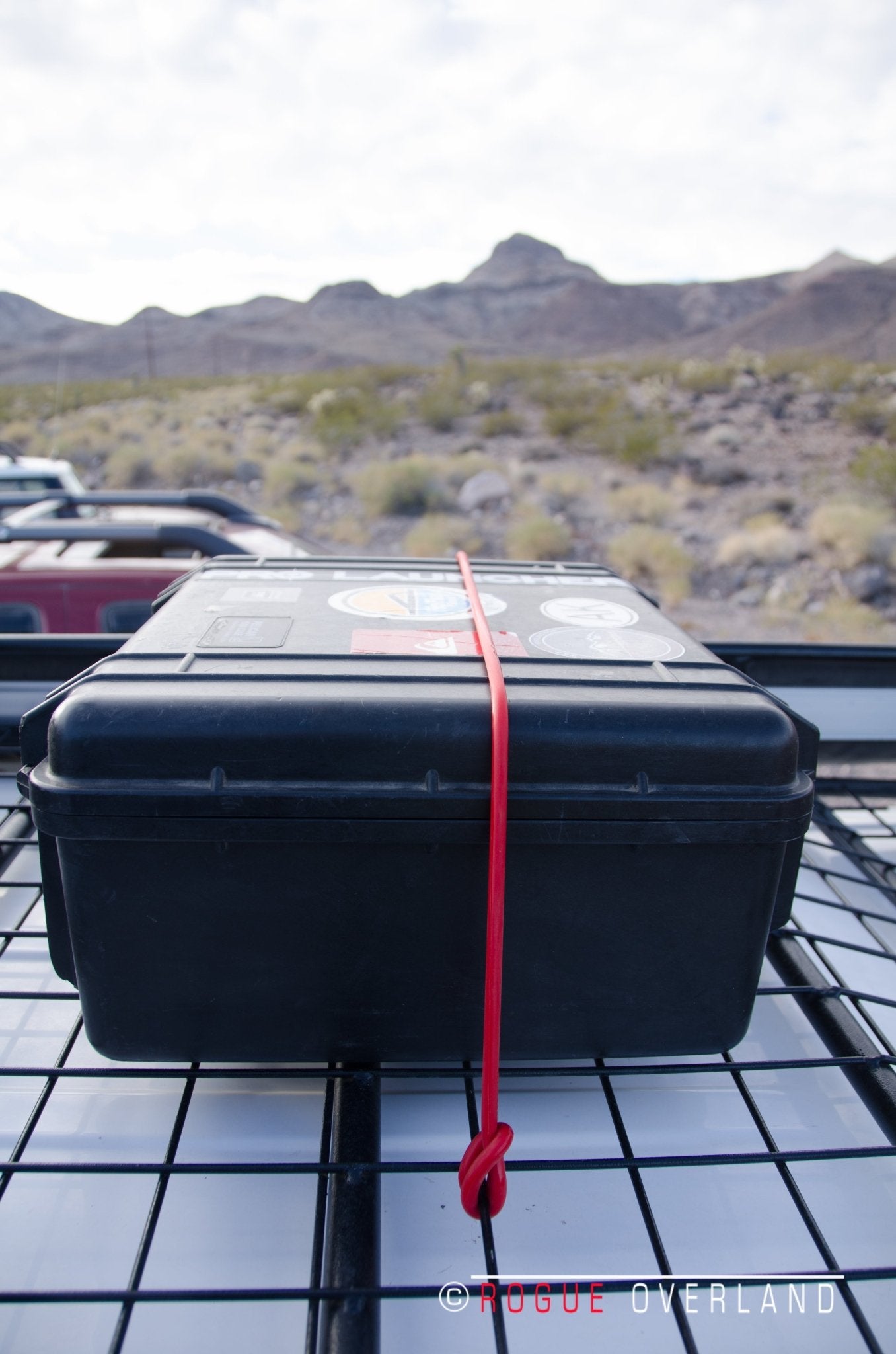 30" Loop End Heavy Duty Poly Bungee Cord 4 Pack