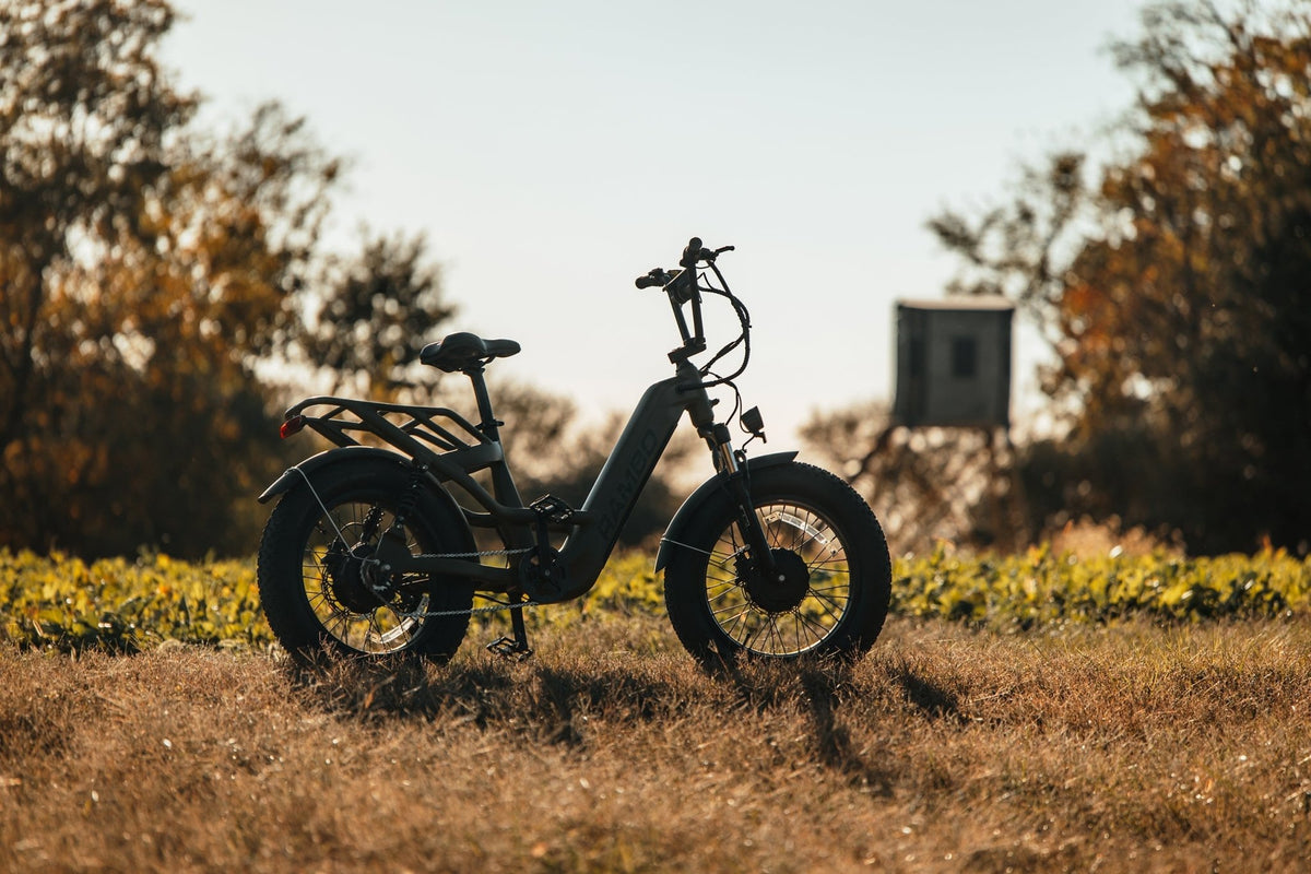 Revolt AWD Step Thru Bike - Spirit of 1876 - Rambo Bikes