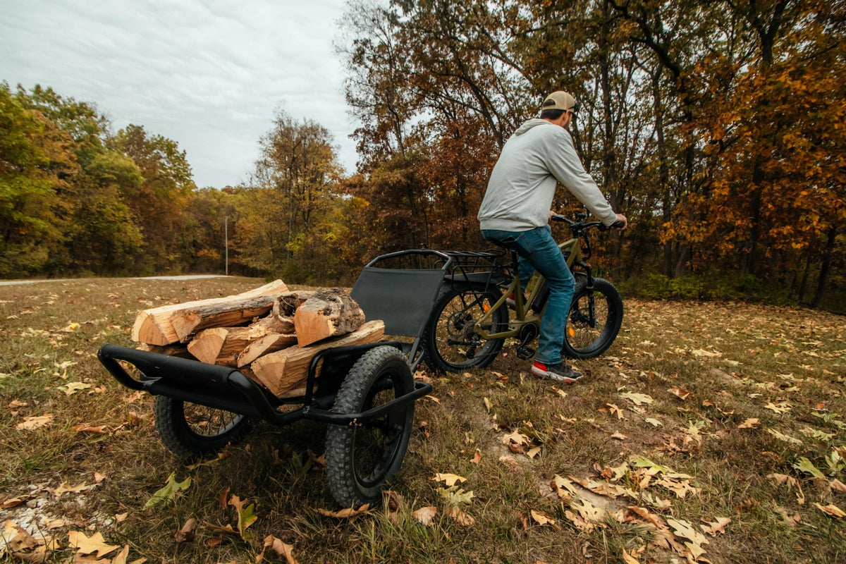 RAMBO BIKES Aluminum Bike Game / Hand Cart - Spirit of 1876 - Rambo Bikes