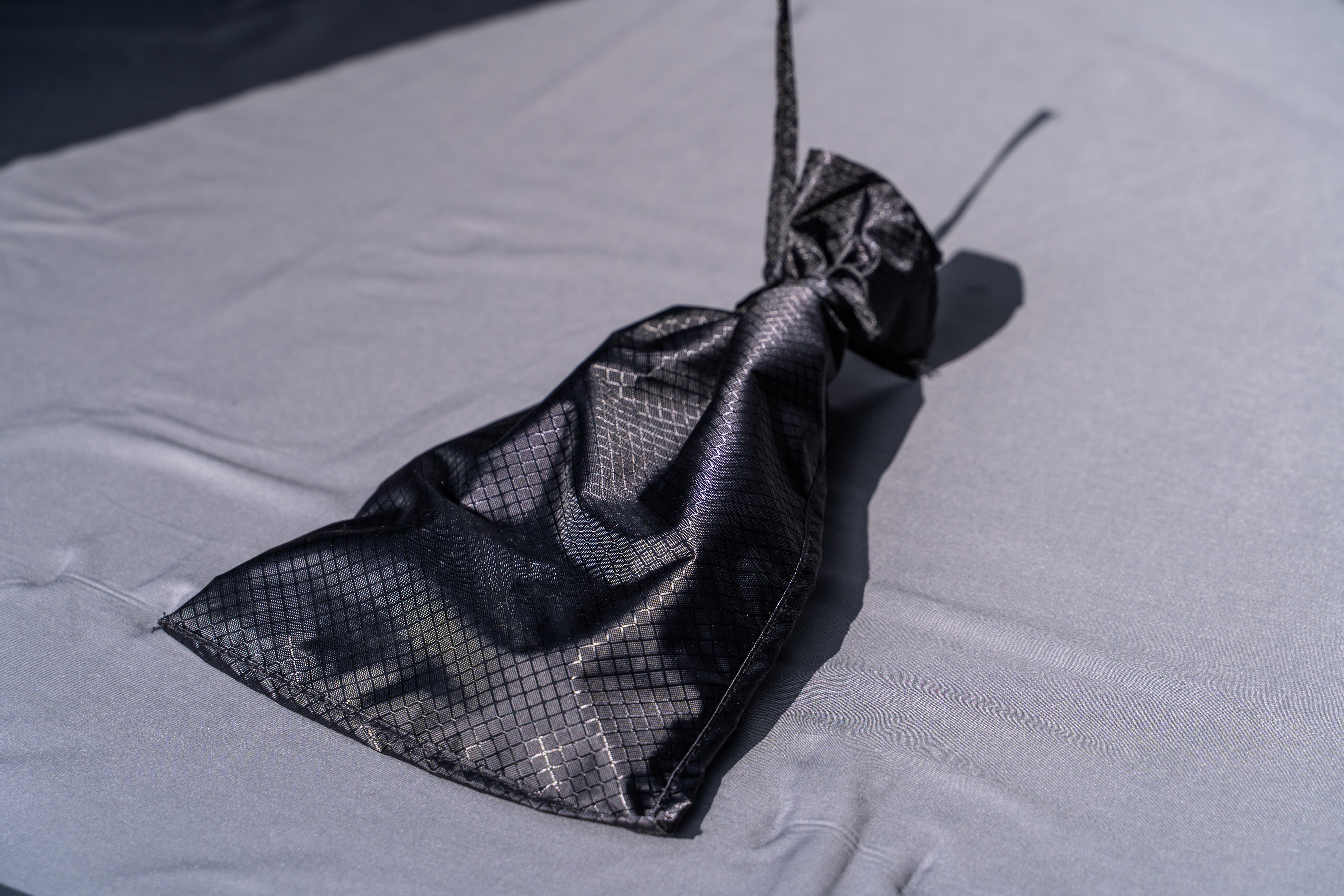 Baseline 2+ Person Tent - Large