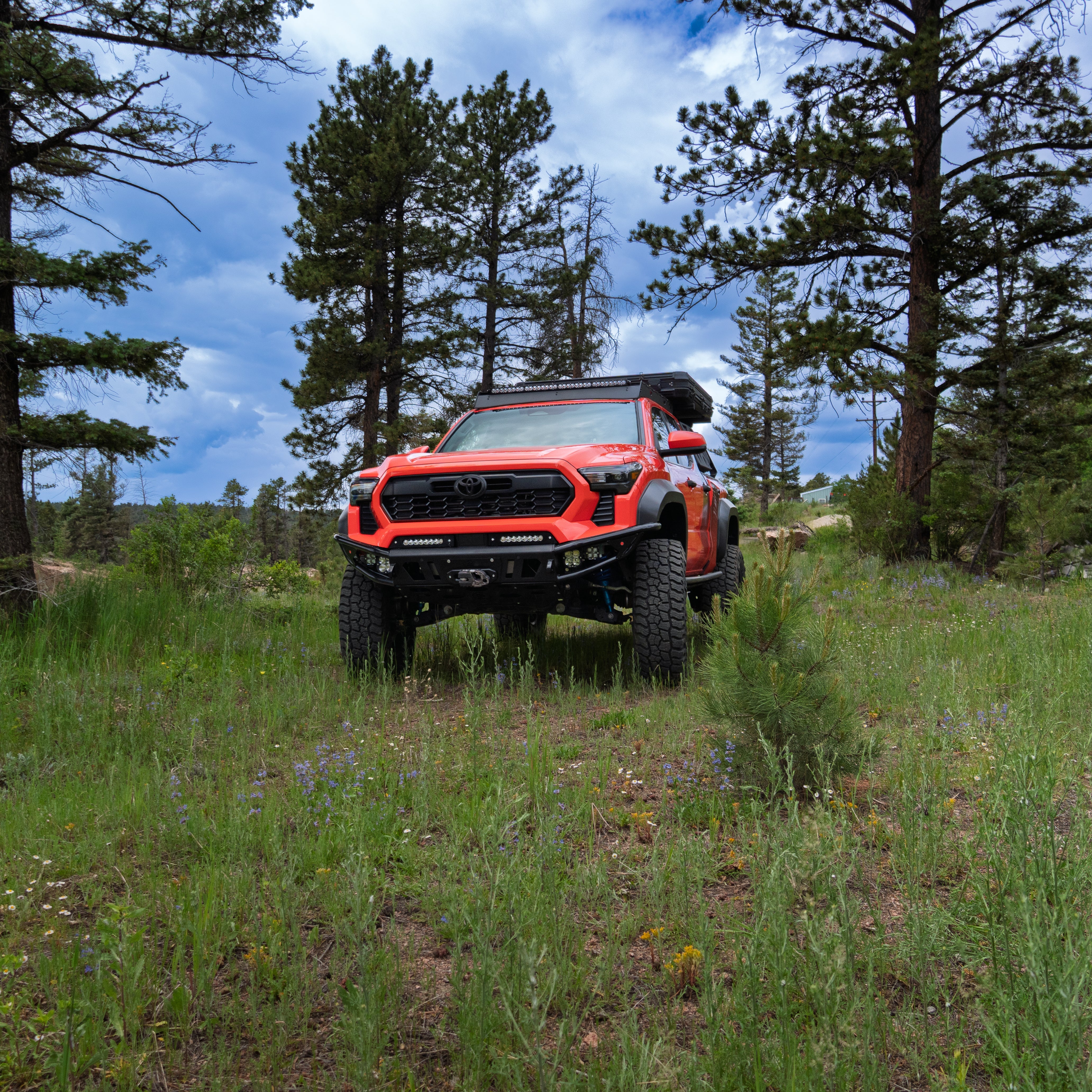 2024-2025 / 4th Gen / Tacoma Hybrid Bumper