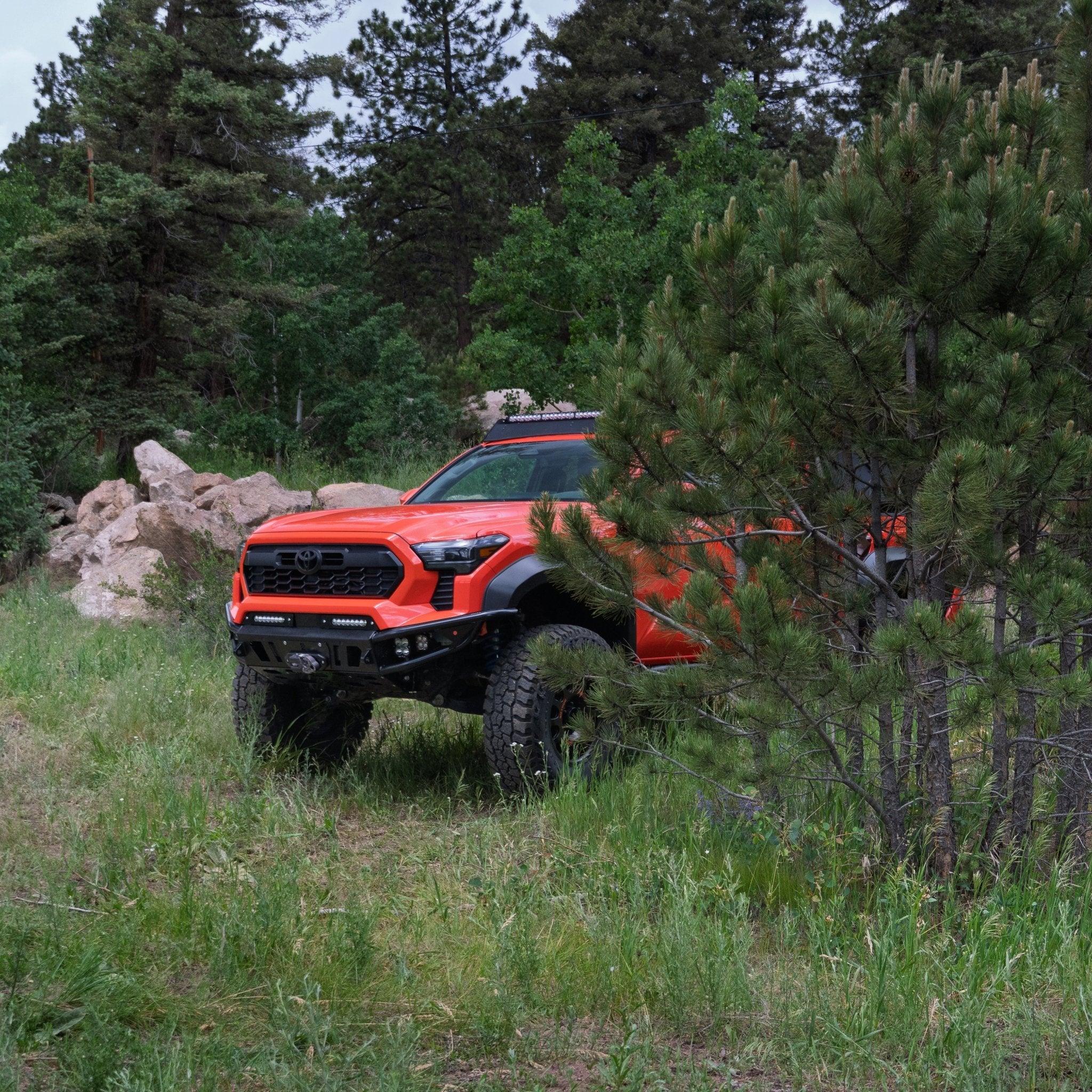 2024 - 2025 / 4th Gen / Tacoma Hybrid Bumper - Spirit of 1876Lil B's Fab