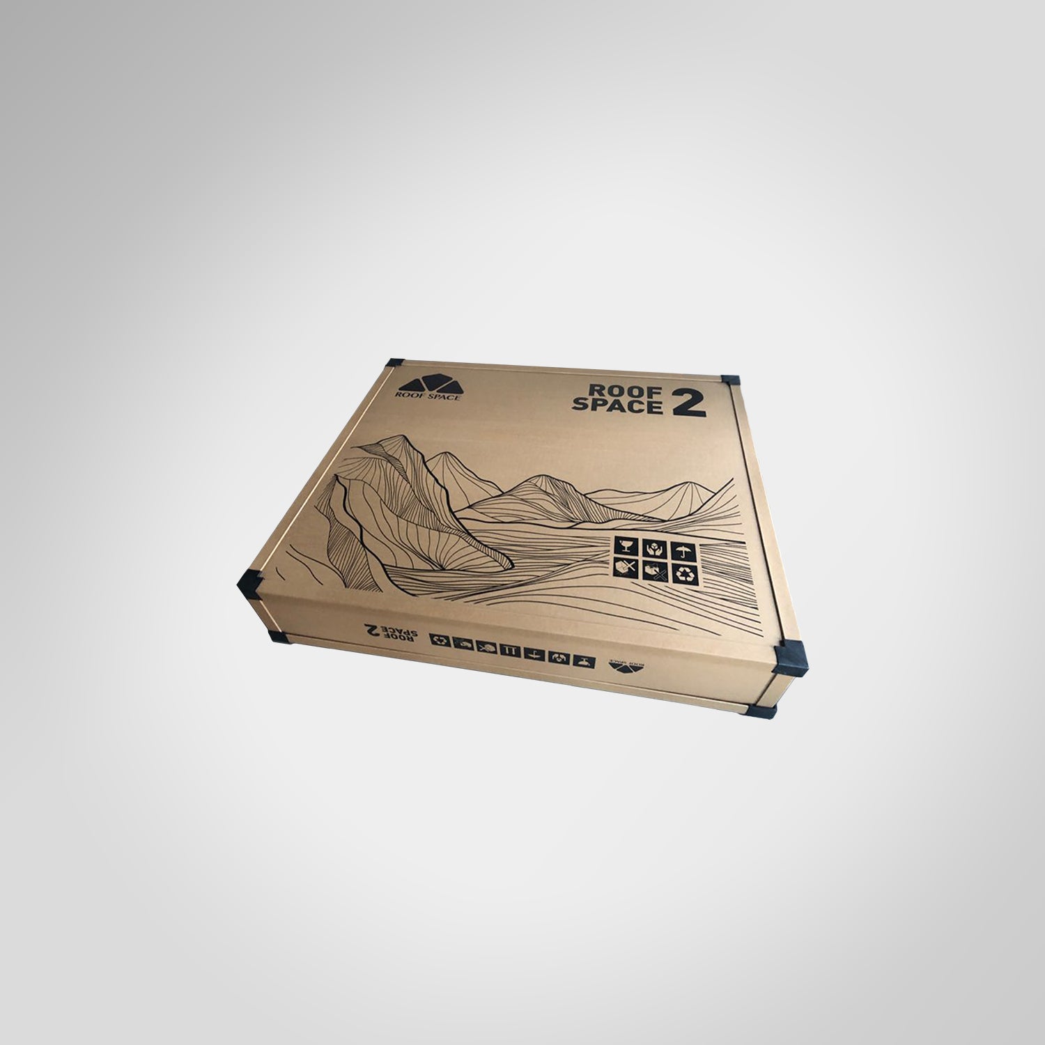 Roof Space 2 - RS2