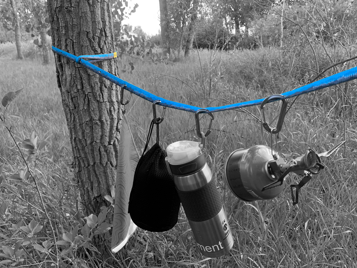 Charlotte's Webbing Camp Organizer