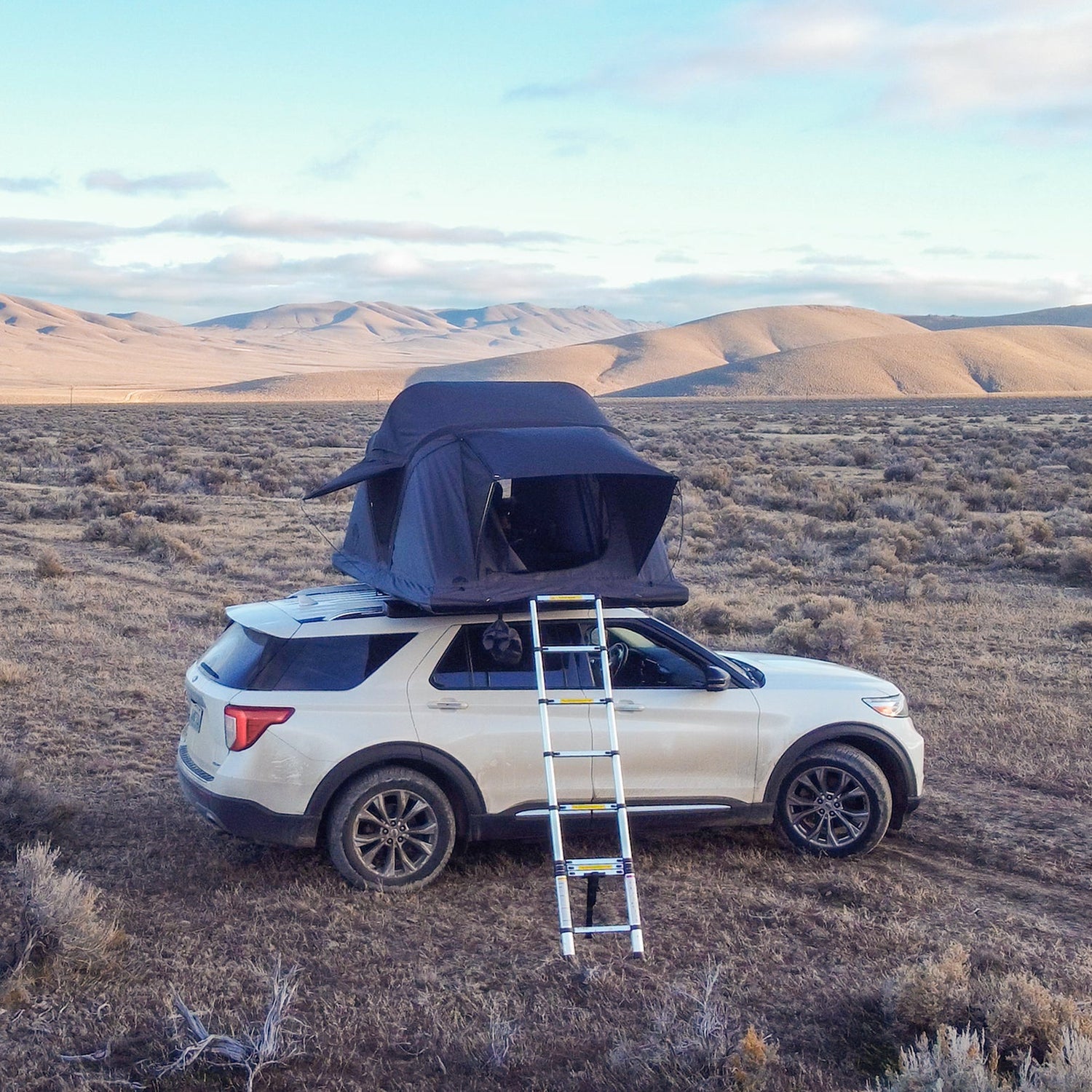 Roof Space 2 - RS2