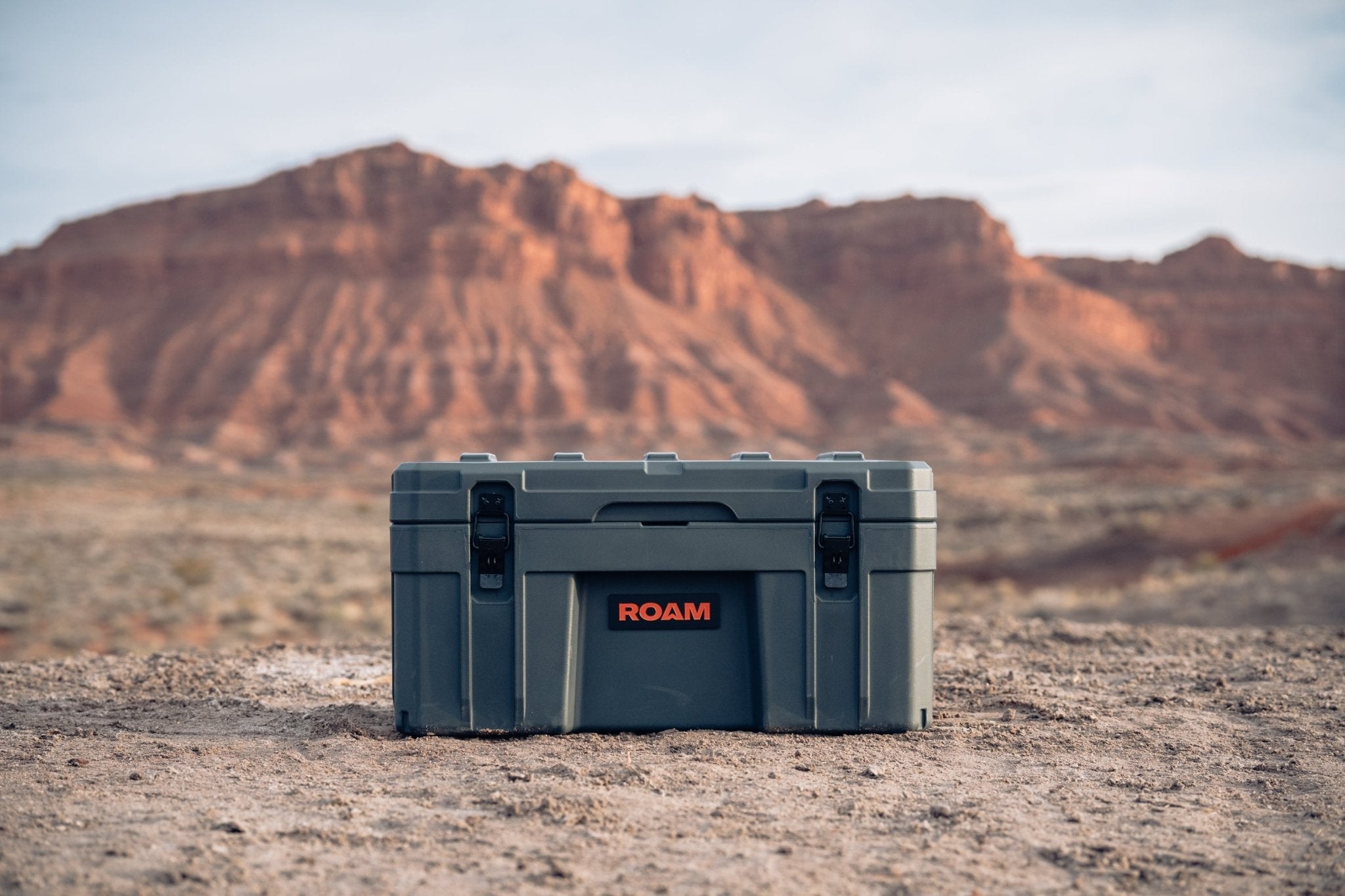 76L Rugged Case - Spirit of 1876 - ROAM Dealer Portal