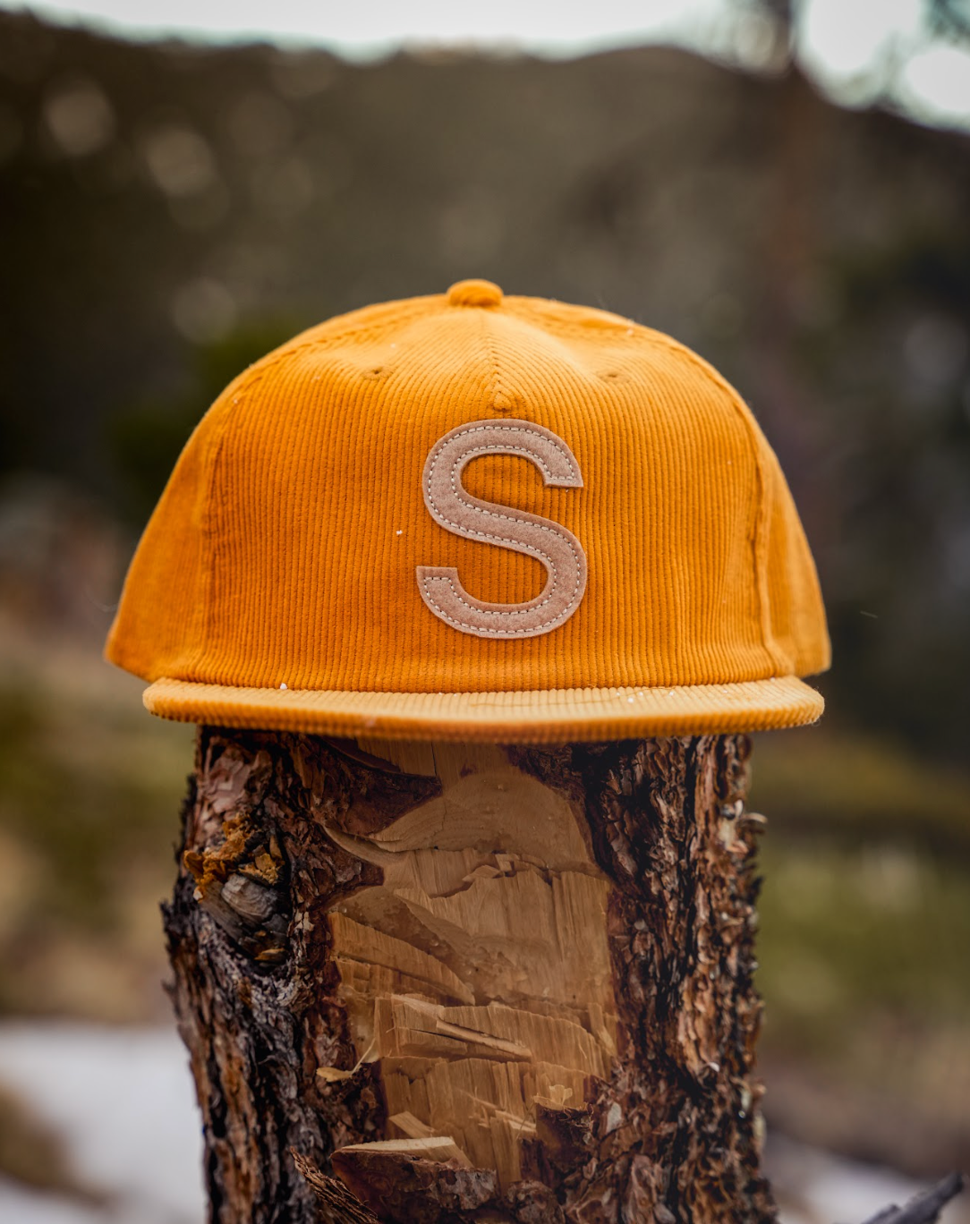 Spirit "S" Hat