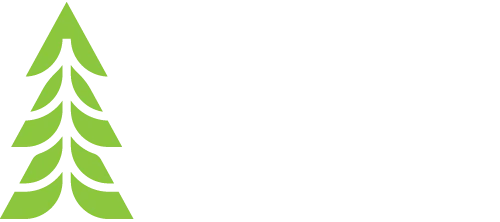 Spirit of 1876