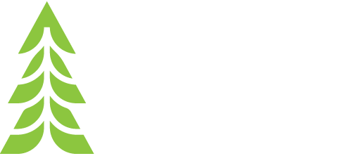 Spirit of 1876